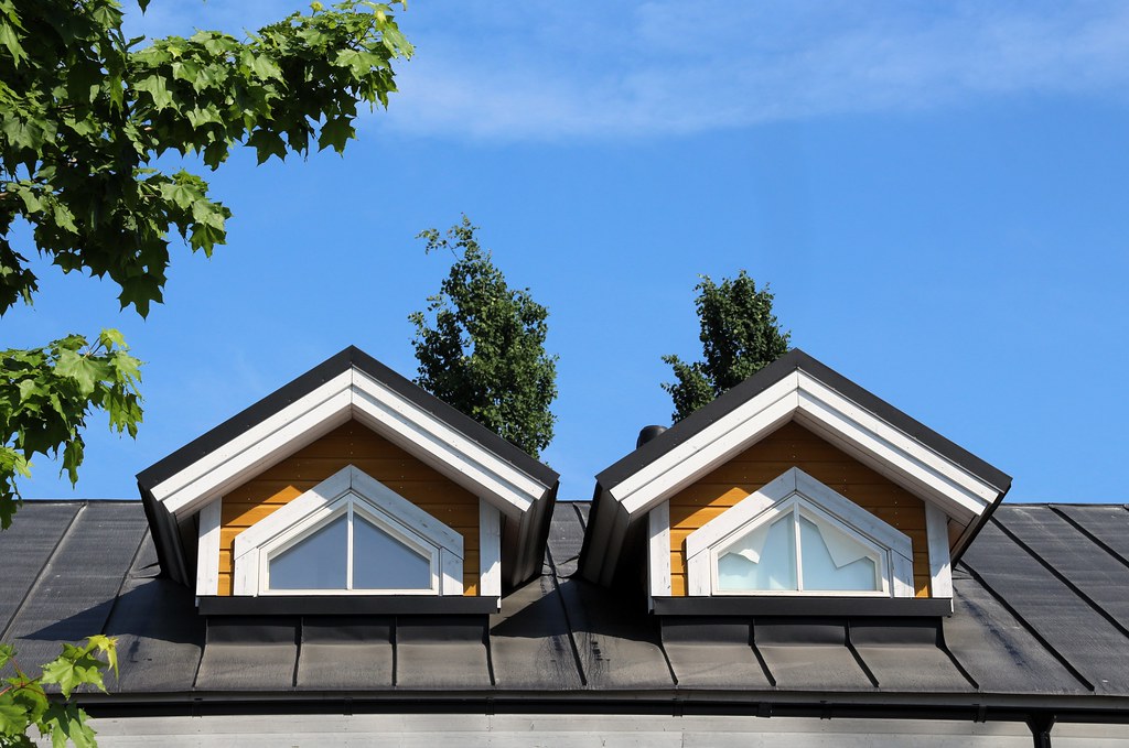 Image for blog titled Skylights Roof Design Maintenance