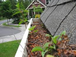 Alt image Simple Ways to Preventing Ice Dams from Damaging Your Roof